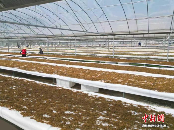 乐鱼体育，您获取最新体育资讯的首选平台，为用户提供精准、及时的赛事报道。 - leyu